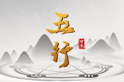 数字化五行参考用法